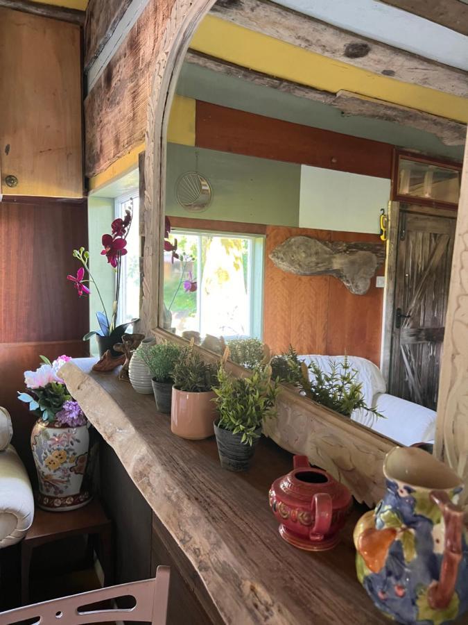 Foxglove Eco Lodge 拉内利 外观 照片